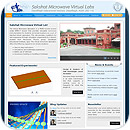 Virtual Labs